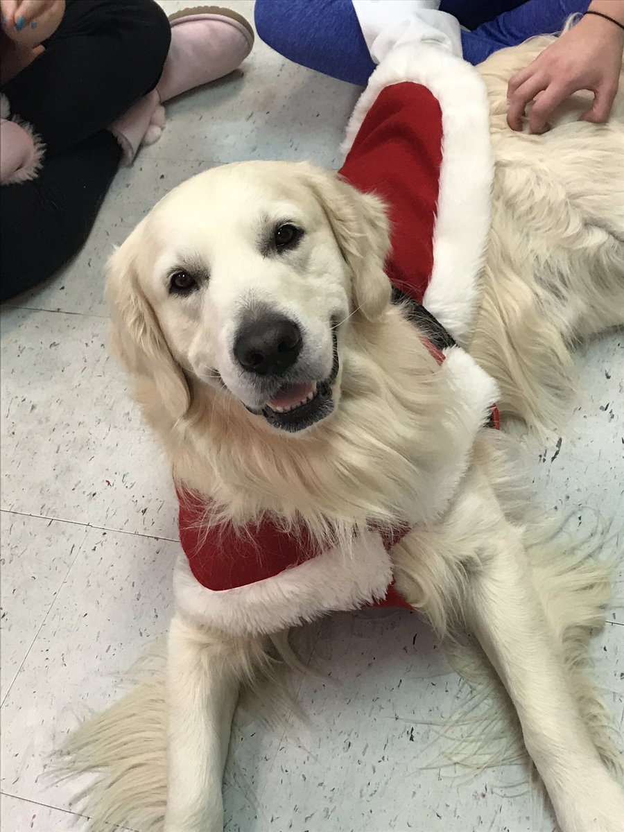 jaime_manahan's tweet photo. River the therapy dog came to visit again Friday! He even brought a bag full of books for the kids! Thank you River and Ms. Robin ❤️ @FCPS_GTJHSPrin @EasterdayTracy @FCPSMaryland @FCPSMDSuper https://t.co/xUM4LEKVSc