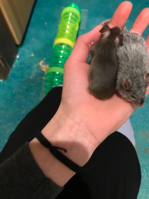 Elisabeth Sharp McKetta tweet media