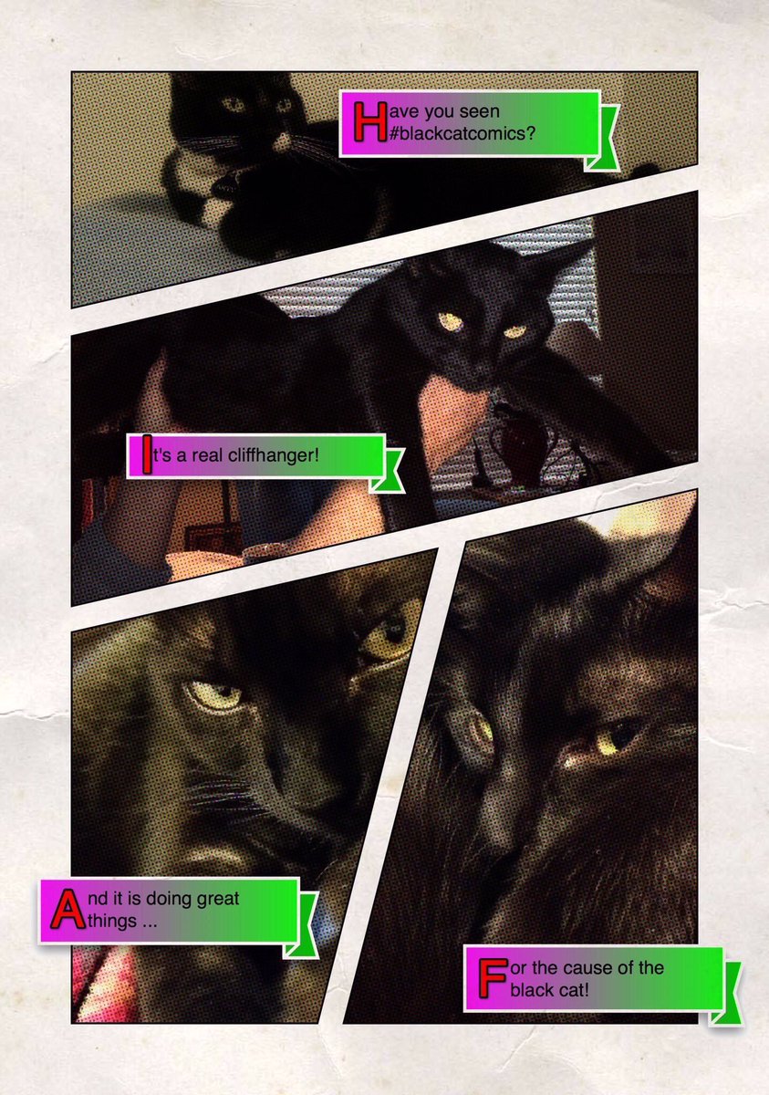 Cosmo and the Pawnews tweet media