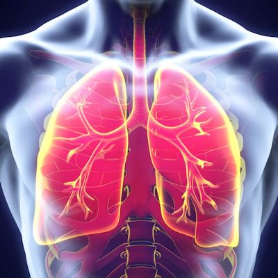 AuntMinnie's tweet photo. ICYMI: Japanese researchers reported that CT screening reduced the risk of lung cancer mortality by 51% compared with x-ray screening in a Japanese population that included low-risk individuals and nonsmokers.  https://t.co/kBiXOOy0zu https://t.co/LLfOaU4kND