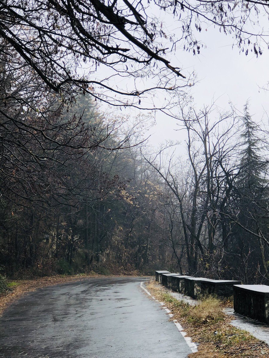 nalrag's tweet photo. Driving across Srinagar with the 🌞 peeping through the ⛅️ 🌧 🌫! 
🥶 ❄️ #ChillyWinter @JandKTourism  #IncredibleIndia https://t.co/tEDzNCEAPN