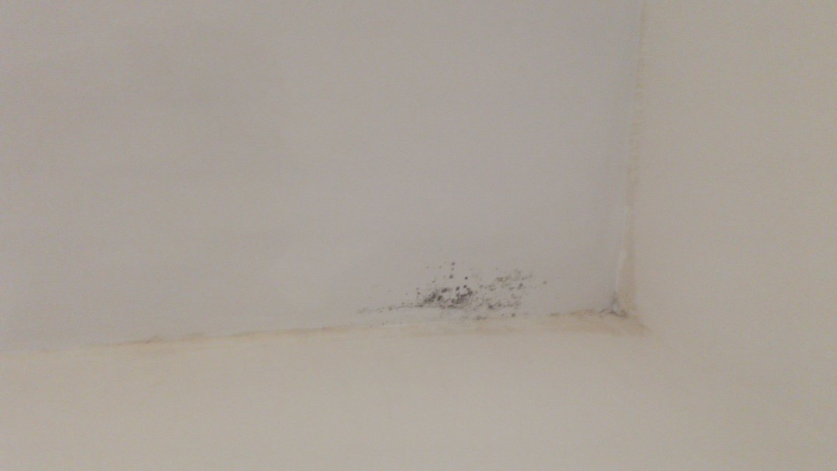 Eloise Morse On Twitter Dixonsproperty Having Moved In March