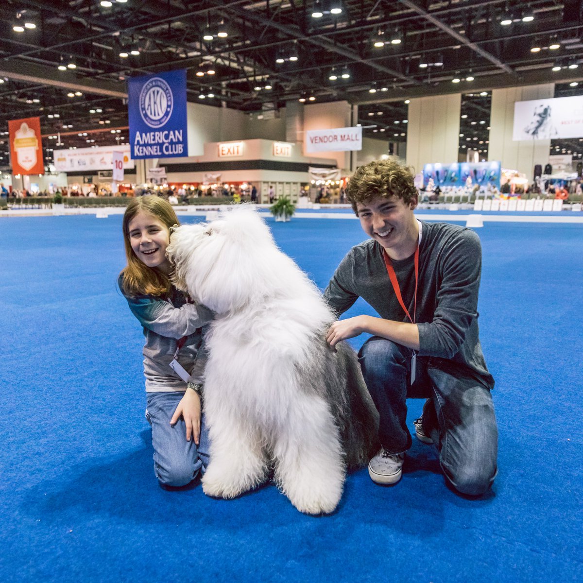 dog_rates's tweet image. I’m with @IvePetThatDog at the AKC National Dog Show presented by Royal Canin! We’re on a mission to pet all the dogs. It’s going really well. #partner