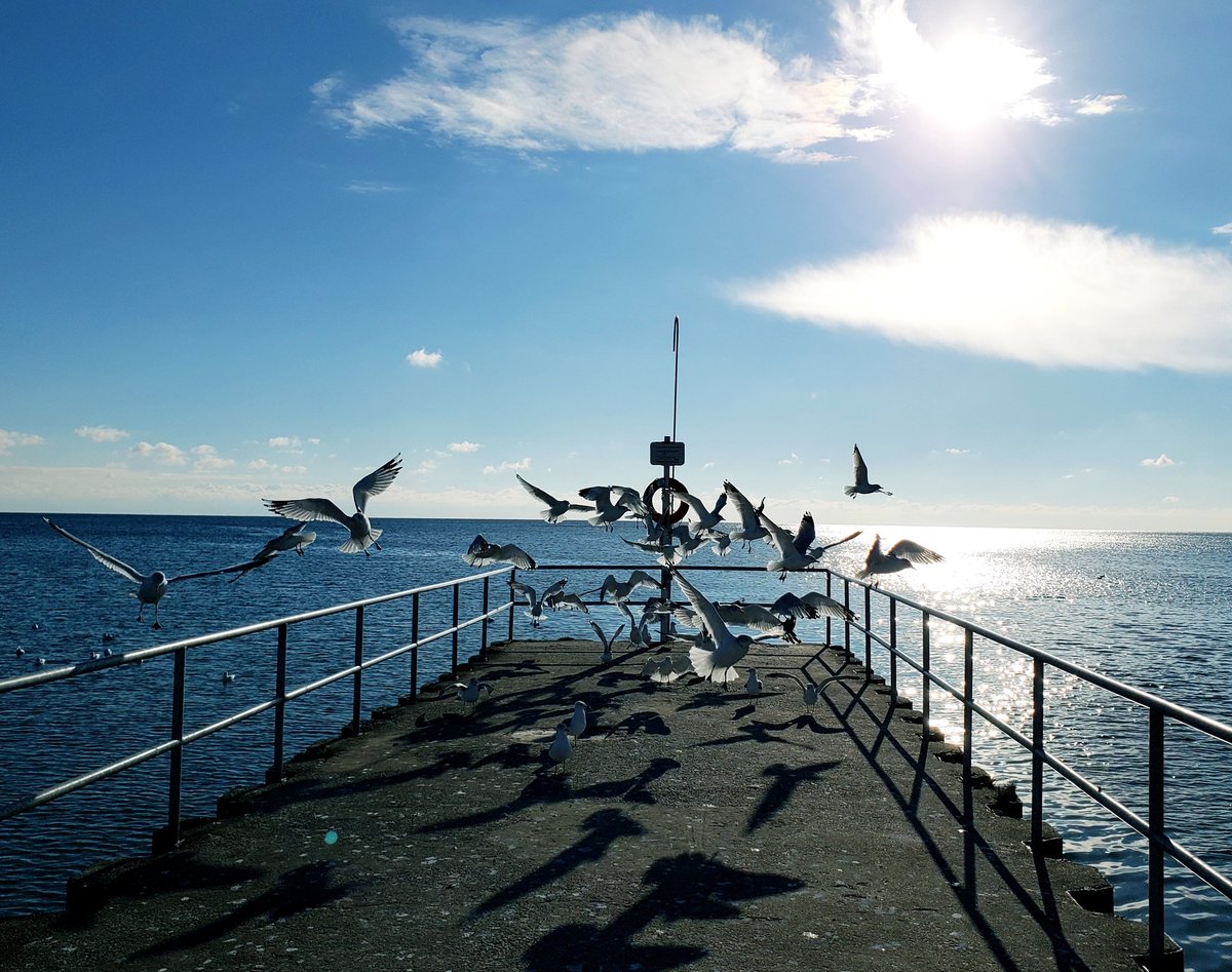 Breathtaking run this morning - charged with 100% positivity. How is your weekend going?  #morning #running #happy #LoveWeekends