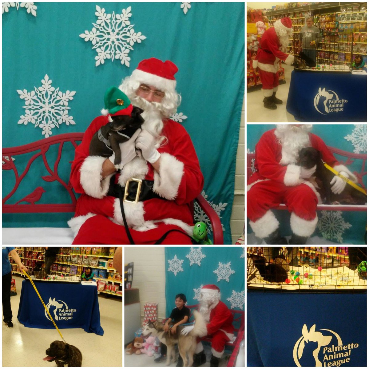 Hurry on down! Santa is in for free pictures until 4 pm! Also, Palmetto Animal League is here to help you find a new family member for the holidays! #fortheloveofpets #LifeAtPetsmart #petsmartevents #petsmartparties