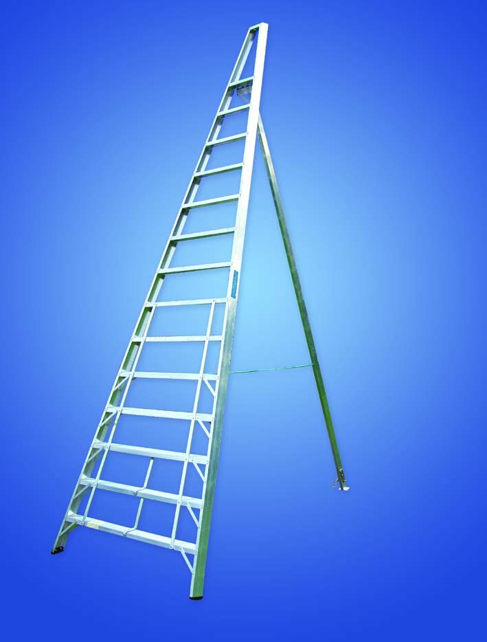 Midland Access tweet media