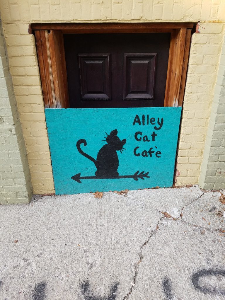 ALLEY CAT CAFÉ colabcooperative.org/2018/12/15/all…