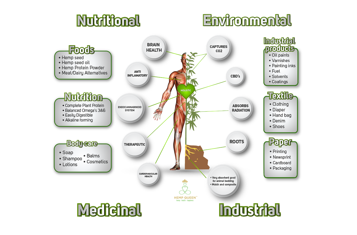 thehempqueen's tweet photo. The truth about this sacred plant is rising and finally the world is beginning to embrace this holistic and versatile super plant of our time!
#Hemp #CBD #hempoil 
https://t.co/9XgyjZc7ny https://t.co/V5scWCTuGg