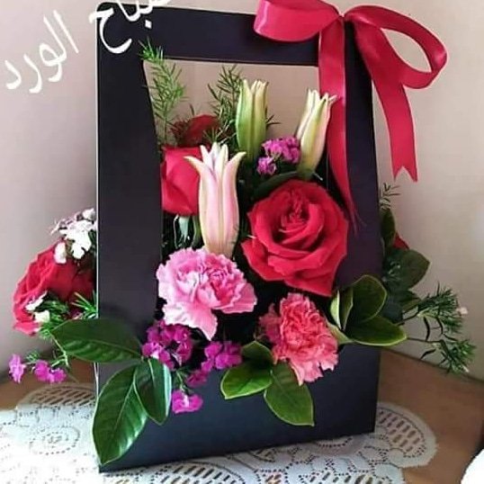 badere199 tweet picture