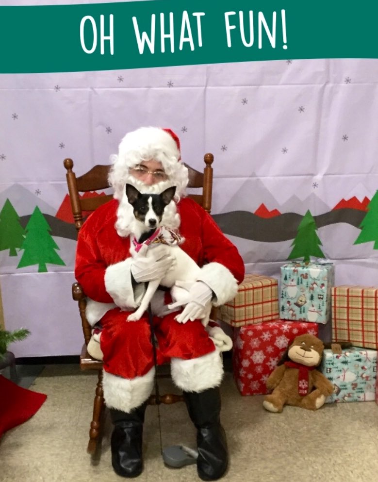 Max_n_Ruby's tweet photo. Finally got my picture with #Santa today! Mom even stopped and got me a few fries from #McDonalds! 😊🍟~ #Ruby🐾
#RoadTrip #PureJoy #HappyDog #PetSmartParties #OhWhatFun #IBehaved #BestDayEver #DoggySmile #DogLife Mom's #K9OfTheDay https://t.co/cmepsnxXFJ