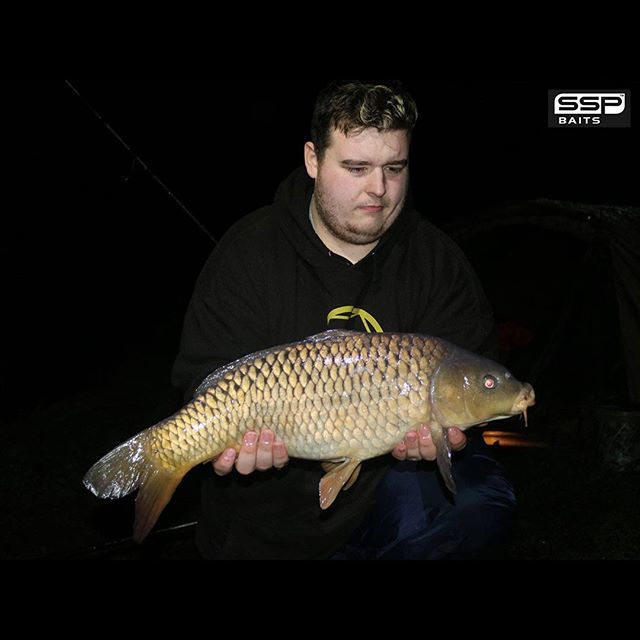 SSP Baits tweet media