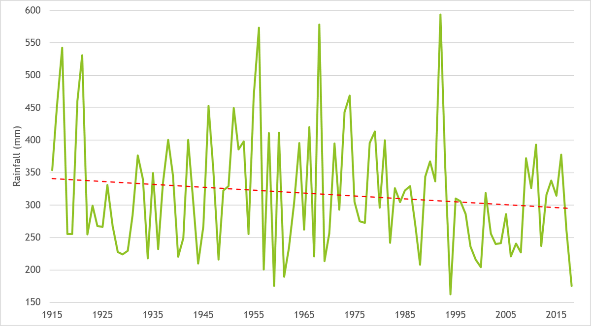 Daily Rainfall Chart