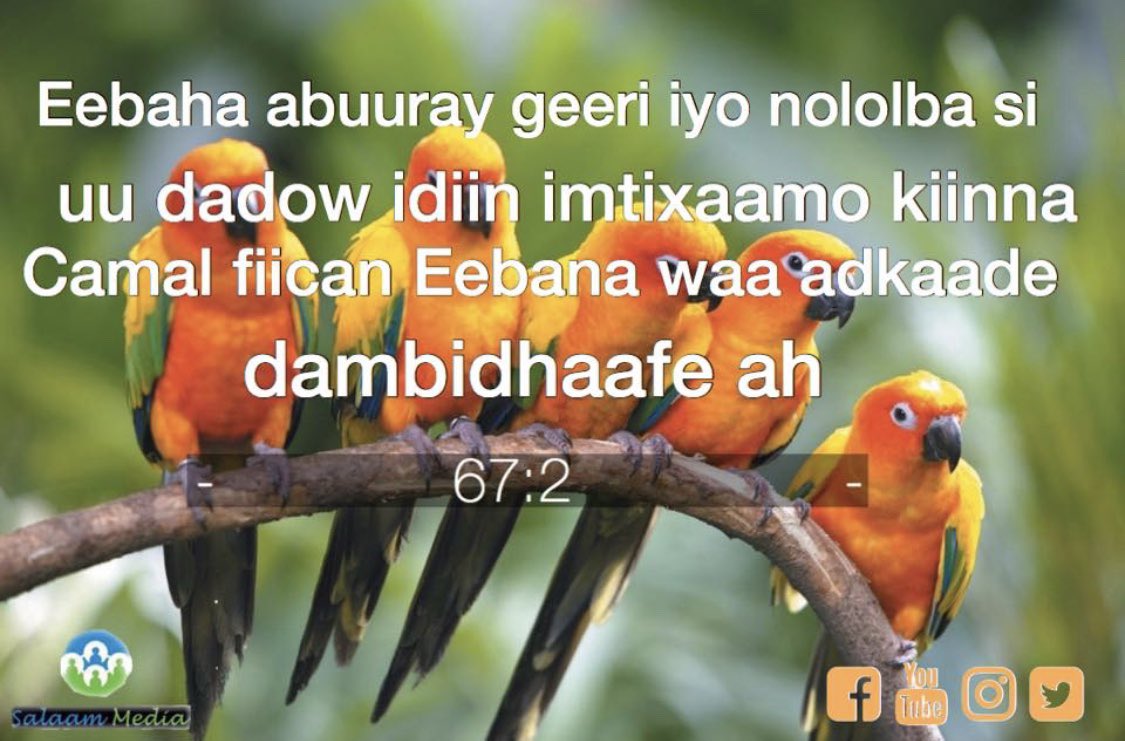 salaammedia's tweet photo. Walal xasuuso markasta gerida weey kuu imaan kartaa ma ogid in aay tahey manta beri 

ama daqiqado kadib waxaa jirto dad rabi lahaa in aay booskaaga fadiyaan oo 1 mar allah (swt)
u sujuudaan
 
Is xisaabi inta lagu xisaabinin 🕋

Diyaar matahey?

🌐 SALAAM Ⓜ️EDIA https://t.co/Cd9xT2j8fp
