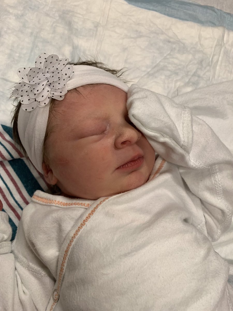 portertrains's tweet photo. My heart is full! Sawyer Frances-Mae made her journey into the world today. I can’t wait for her to meet her incredible big sister @maddieporteer tomorrow. #lifeisgood #Adoption #family #love https://t.co/lAkXhImuw6