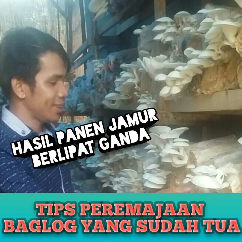 Melkiamd1's tweet photo. https://t.co/qDY5DpMsLC https://t.co/TXpTKftMMG