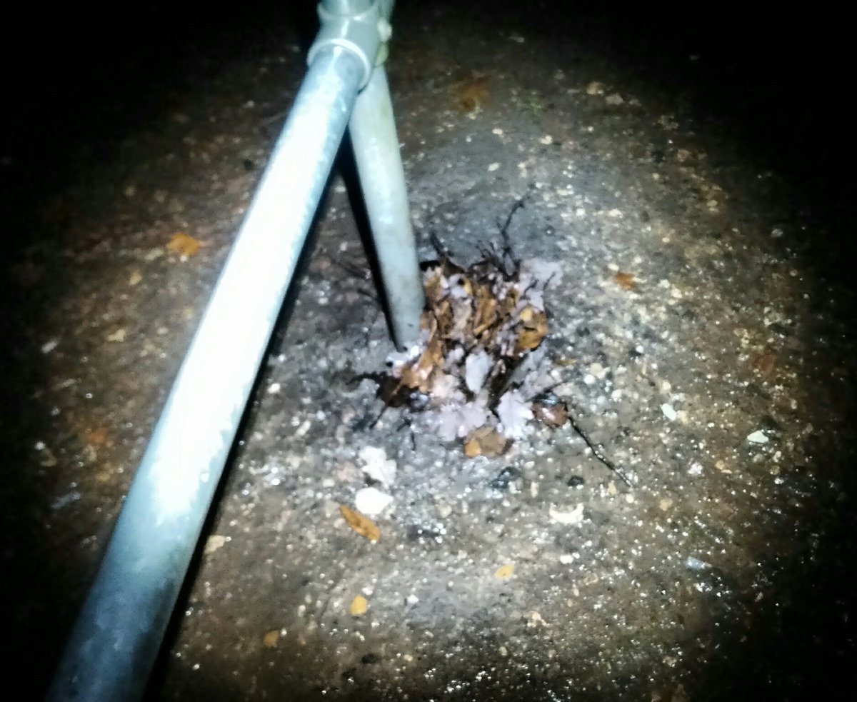 HazletonCommon's tweet image. I understand that there are some concerns about the proposed #development of #PadnellGrange and the #infrastructure, including drainage. The grange pretty well flooded tonight, ditches full, and the stream.? Well... It had already gone over the top of the bridge. #tempestavenue