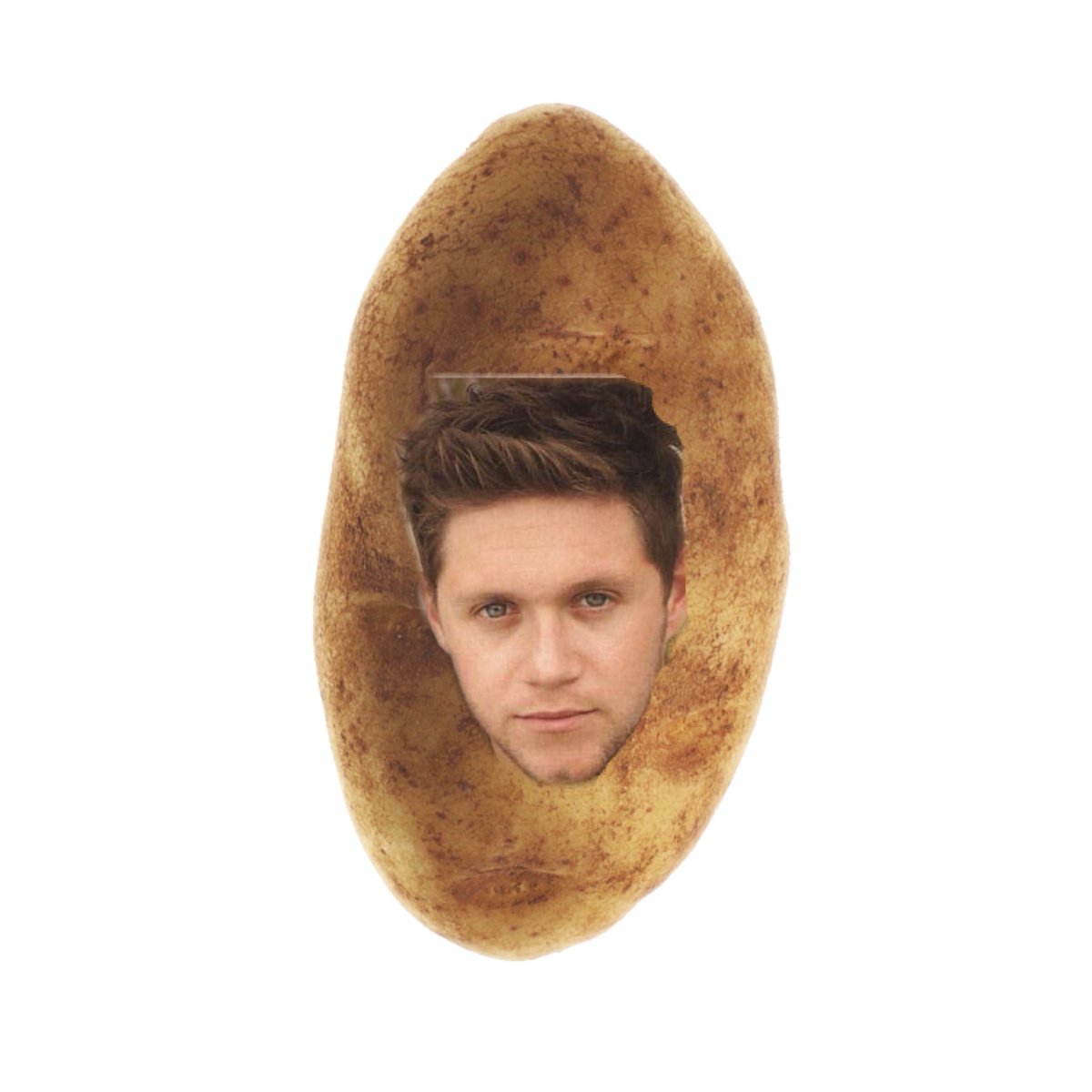 woopsneil's tweet photo. Models can get thousands of retweets and likes of their posts. How many rts and likes can this picture of Niall on a potato get? https://t.co/TFkbBcRCCo