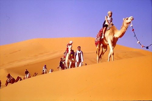 TwitteAlgerie's tweet photo. 🏜#BENI_ABBES (LA PERLE DE LA SAOURA)🏜
🌴 🌴 #TAGHIT (L'ENCHANTERESSE) 🌴🌴sud Algérien
Welcome To #Algeria #Algérie #الجزائر ! https://t.co/GTrmWi3xGL