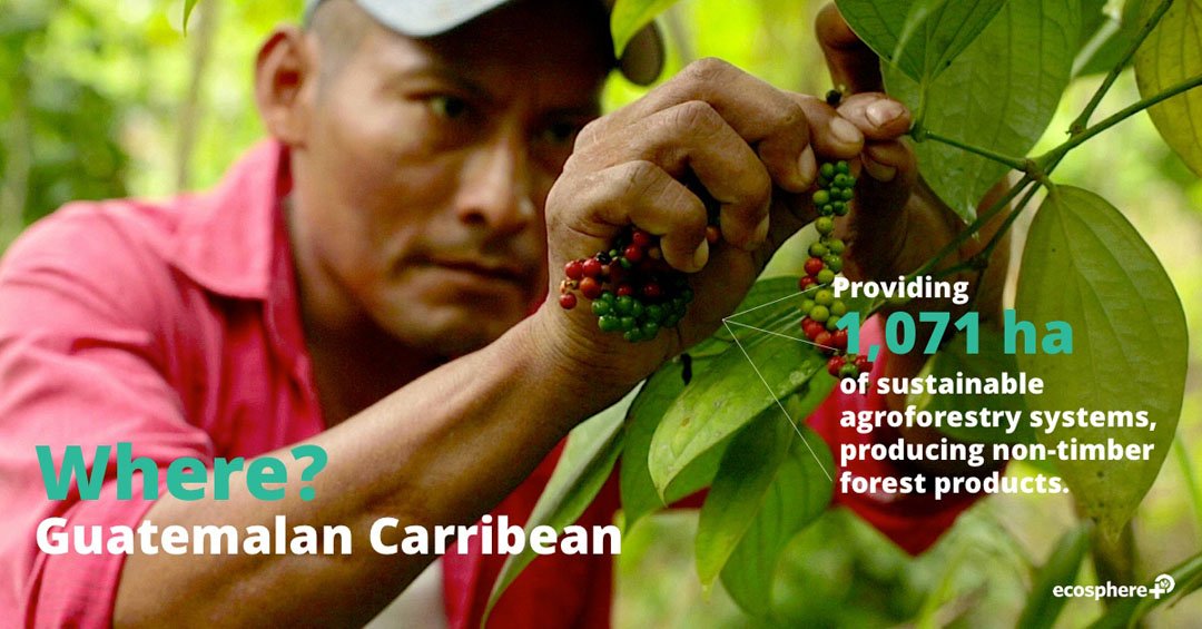 Poseidon tweet media