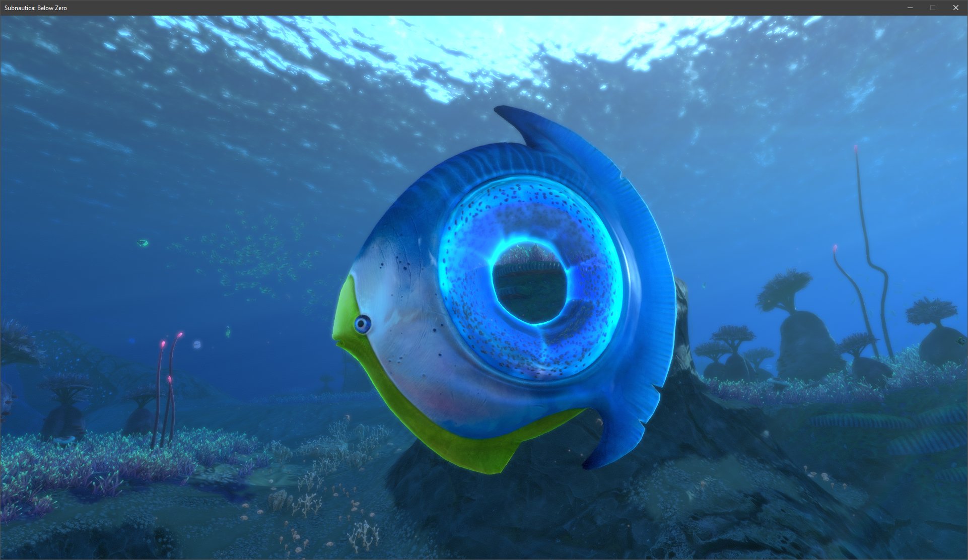 Subnautica Белов Зеро
