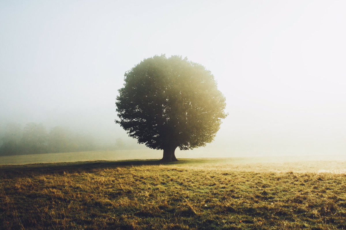 Daniel Casson tweet media