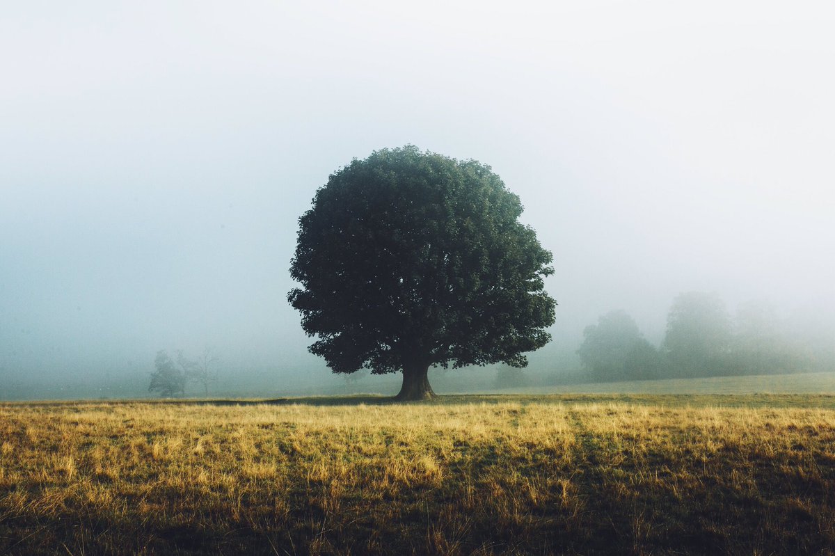 Daniel Casson tweet media