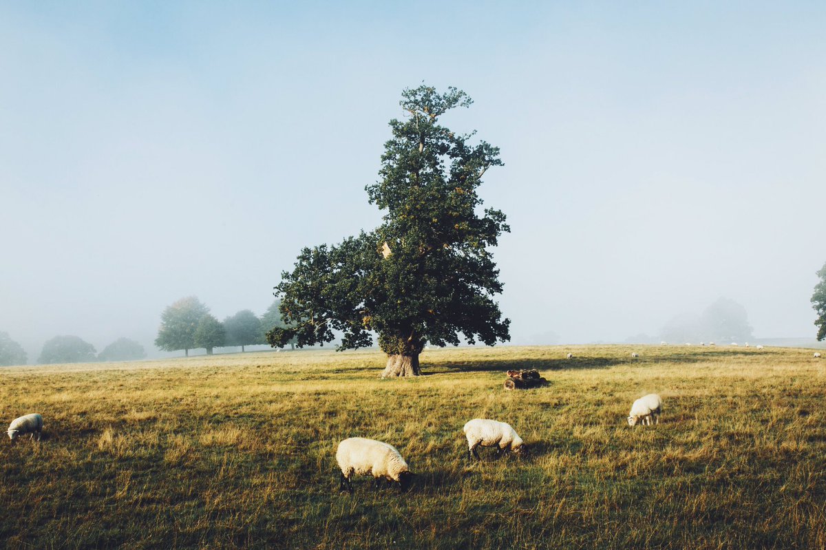 Daniel Casson tweet media