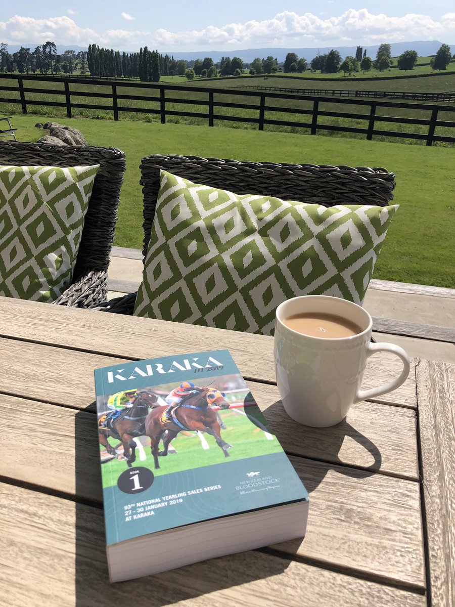 Valachi1's tweet image. Cracker Sunday @KarakaChat @anz_news @NZTM_TWEET @NZTBAWaikato