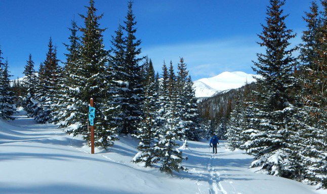 usfsarp's tweet photo. Do you have plans to get out and recreate in the Forest this winter? Where will adventure take you? #ItsAllYours #GetOutdoors #Unplug https://t.co/tthVDs70BR