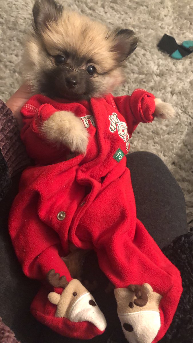 Can we talk about how cute Mia looks 🥰