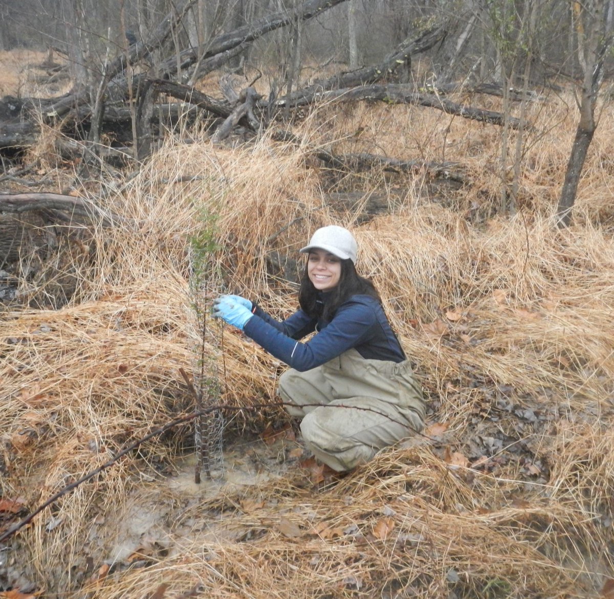 JugBayWetlandsSanct. tweet media