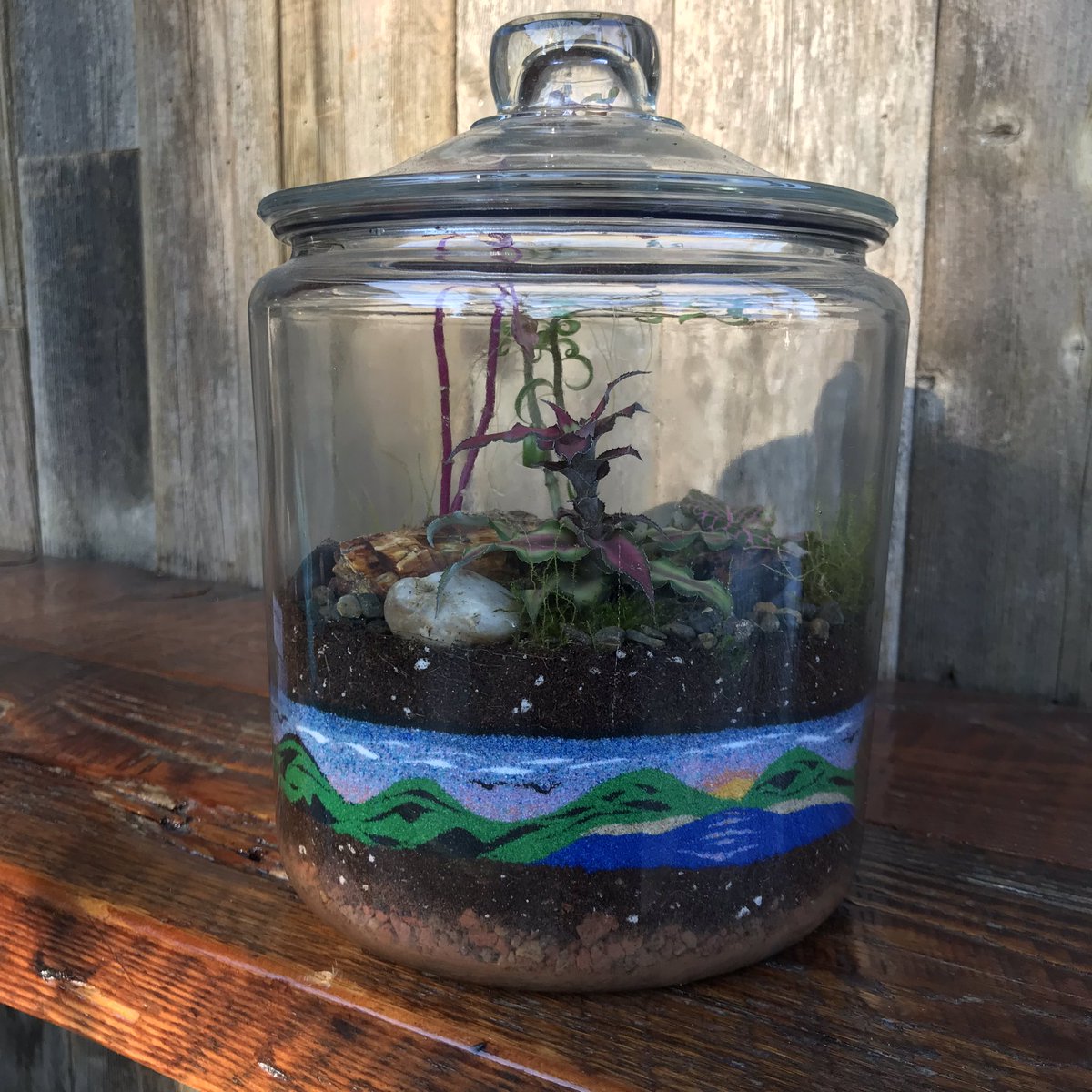 HiWheelWines's tweet photo. We’ve got a limited supply of #ghostofchristmascran #fizzywine bottles/draft remaining! We can also help with some fun host/white elephant gifts! 
🌱 airplant orbs 
🧶  #macrame
🎨  #pottery items
🌱 living #terrarium

#fizzywinepdx #citruswine #supportsmallbusiness #handcrafted https://t.co/cZuibuhRX8