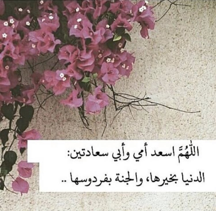 re_s501's tweet photo. #غرد_بخاطره_تقصد_فيها_شخص
يارب ابعد عن امي وأبي متاعب الدنيا ولا تذقهما طعم الحزن ولا دموع الضيق اللهم بحجم سمائك ارح قلب امي وأبي واسعدهما سعادة لا تفنى ولا تزول😢❤️ https://t.co/BTjkCosVQ7