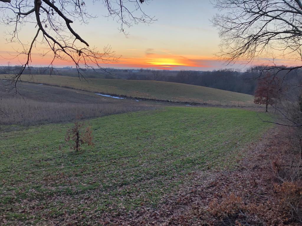 How To Make a Horizontal Rub Post For Deer...And Why You Should