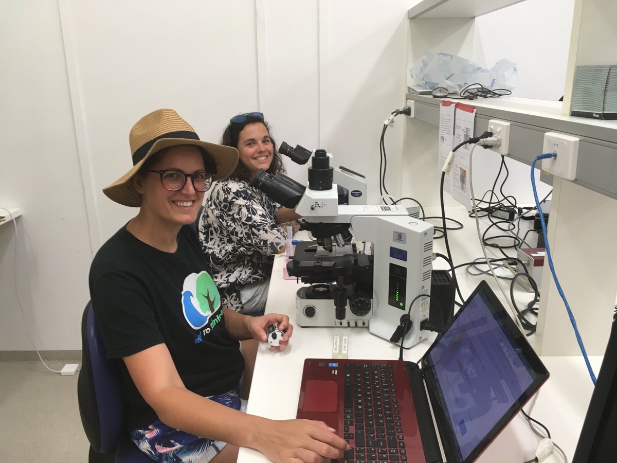 Katherina Petrou (@katherinapetrou) on Twitter photo #Coral bleaching experiment well under way <a href="/HeronIsle/">Heron Island</a>. More than 280 cell extractions counted so far, thanks to our two young #research volunteers <a href="/Eva_ferfer/">Eva Fernández</a> <a href="/UTSResearch/">UTS Research</a> <a href="/UTS_Science/">UTS Science</a> #Coral bleaching experiment well under way <a href="/HeronIsle/">Heron Island</a>. More than 280 cell extractions counted so far, thanks to our two young #research volunteers <a href="/Eva_ferfer/">Eva Fernández</a> <a href="/UTSResearch/">UTS Research</a> <a href="/UTS_Science/">UTS Science</a>