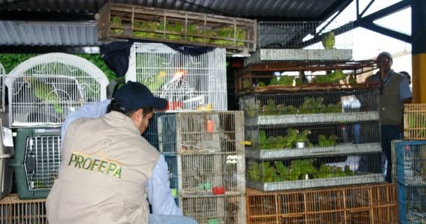 Antero Carmona tweet media