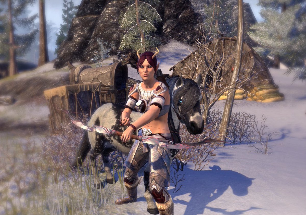 BladedMischief's tweet photo. I may. Or may not be falling in love with stamblades 🙈
#ESO #ElderScrollsOnline #ESOFunMode #ESOFam https://t.co/B4d9Kg5jH1