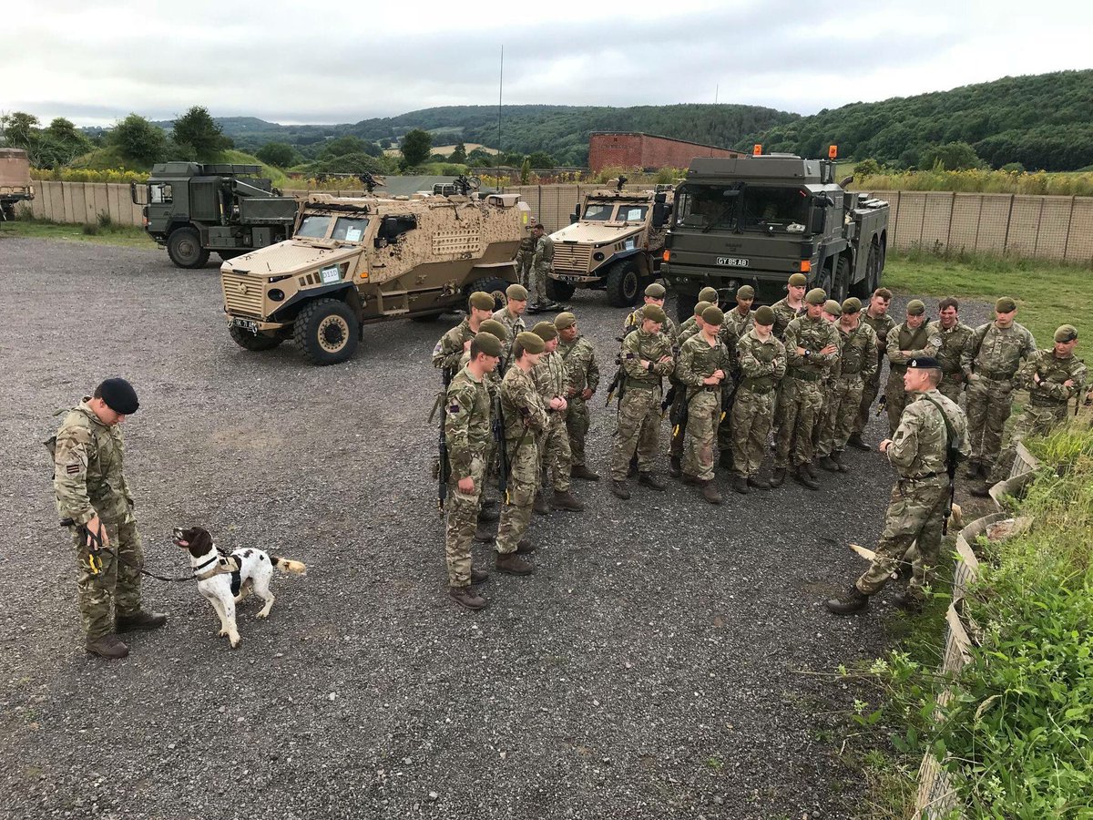 The Queen’s Company group learn the capabilities of the working dogs they will have out with them in Afghanistan. Charlie (pictured) is an Arms and Explosives Search Dog who has already been out to Afghanistan on previous tours.