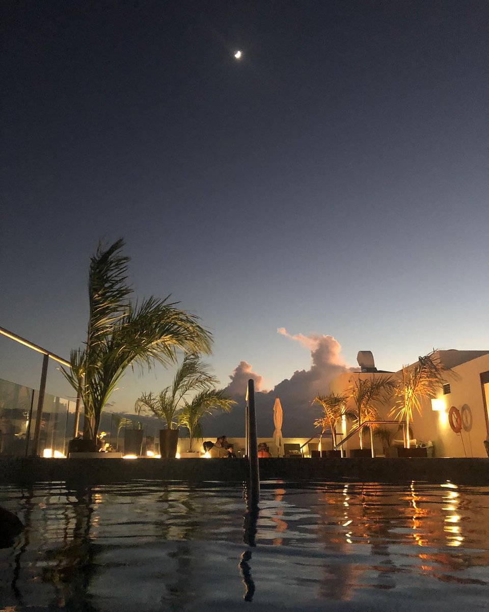 The Reef 28 tweet media