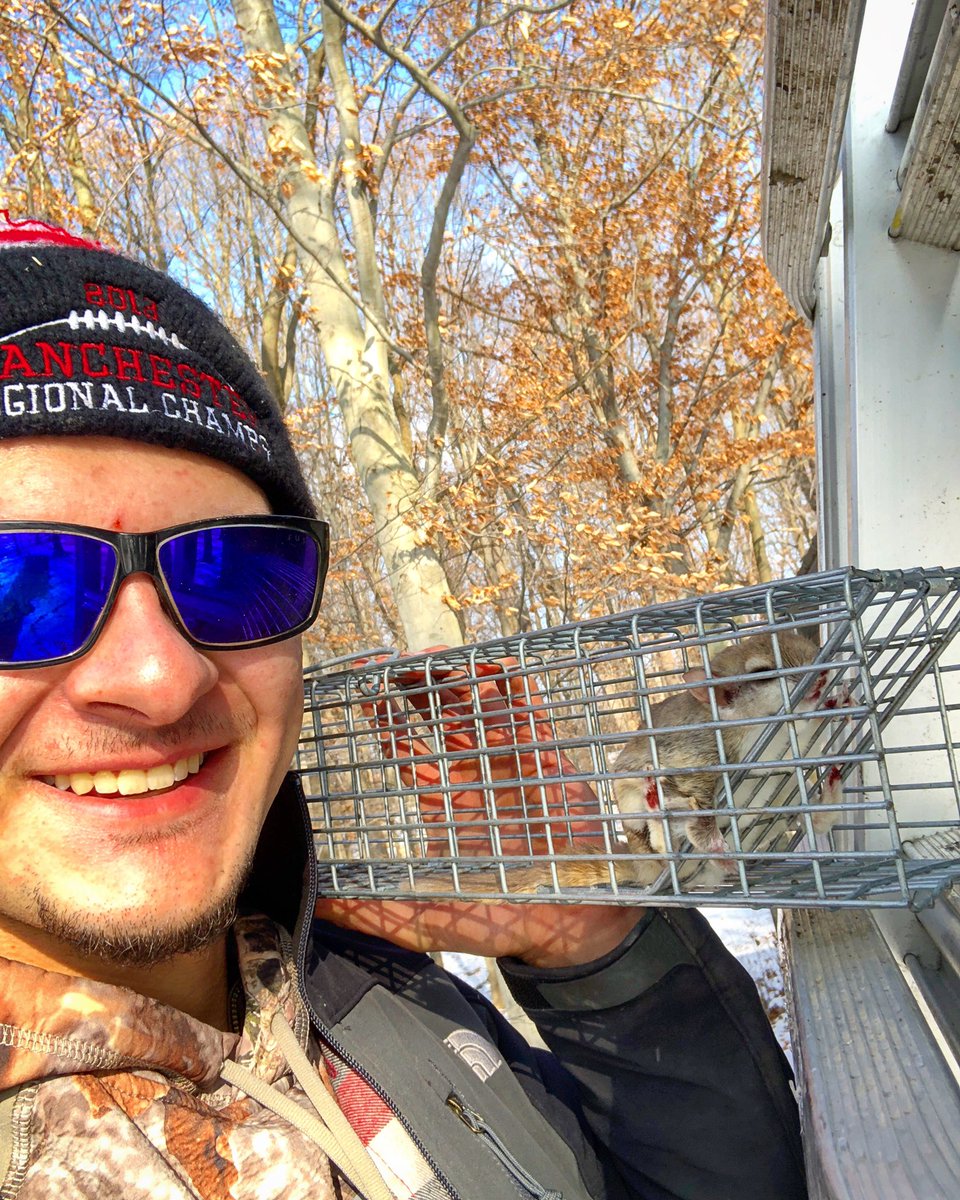 nimicreek's tweet photo. Another flying squirrel removal job! Cute, but destructive little guys. #ADCwildliferemoval #ADCwildlife #nuisance #problemanimals #nuisancecontrol #nimicreek #follow #followtrain #followforfollow #follow4follow #like4like #likeforlike #likeback #outdoors #outdoorsmen #country https://t.co/NTOyLdOxpE