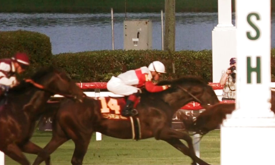 PhippsStableFan's tweet photo. INSPECTOR LYNLEY FINISHES ON THE BOARD IN G2 FT. LAUDERDALE STAKES 
#PhippsStable &amp; #StuartJanneyIII's #InspectorLynley finished 4th in $200k G2 #FtLauderdaleStks today at @GulfstreamPark. Nice riding by jockey @jose93_ortiz
REPLAY: https://t.co/H2B5fAiq82 https://t.co/3l9q5pL8Vi
