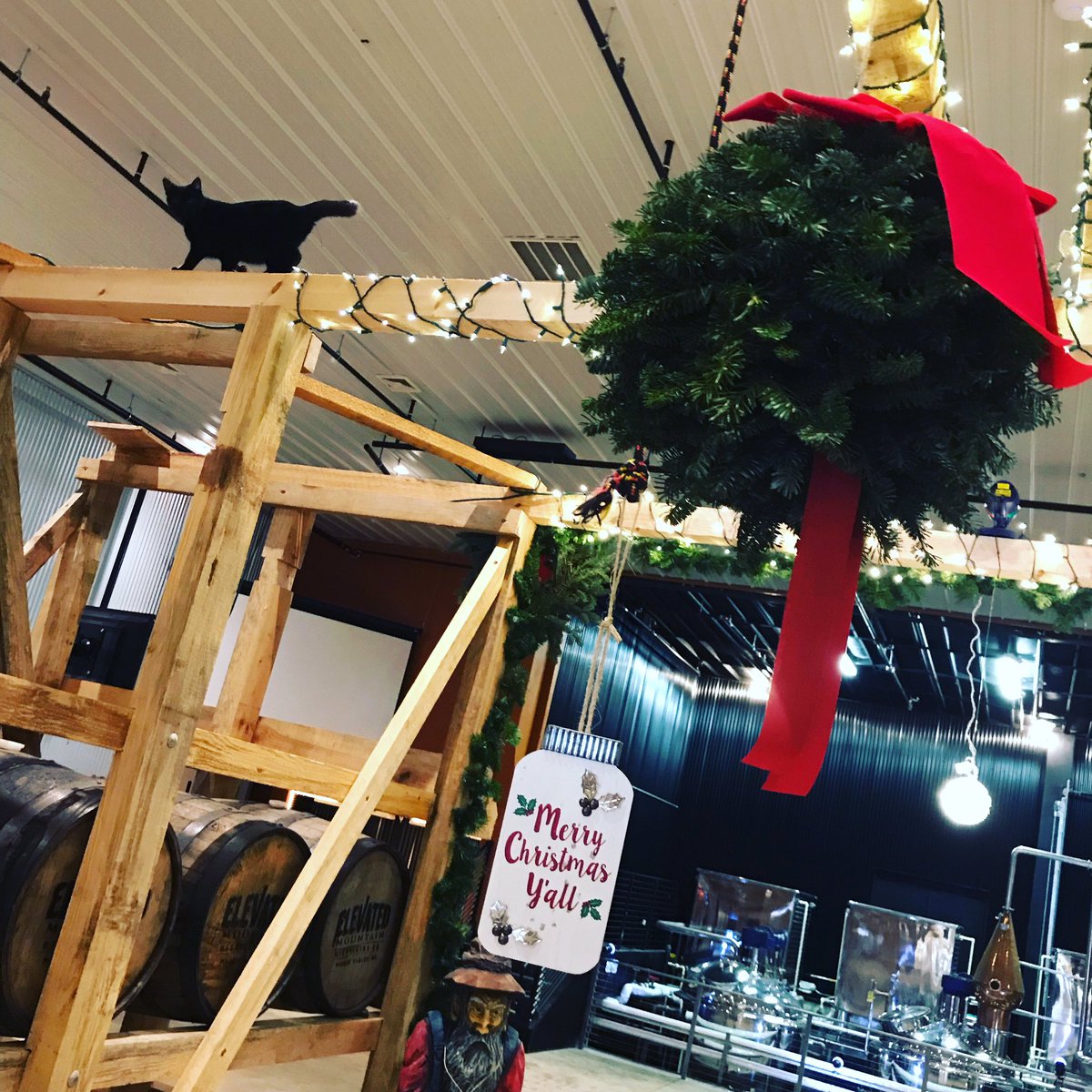It’s #Caturday at the #distillery and #elliemei is exploring our #barrel #rack #elevatedmtn #merrychristmas
