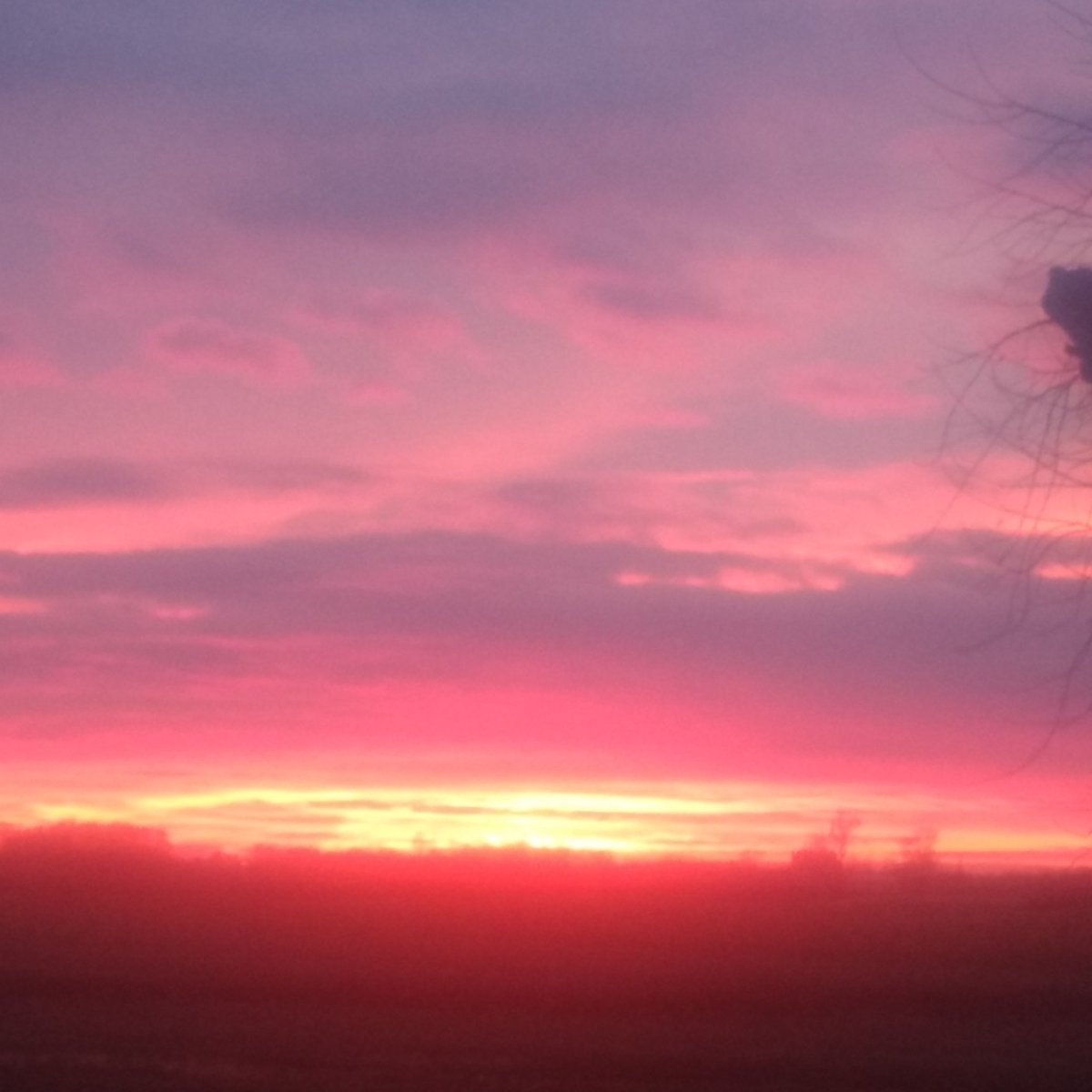 Probits's tweet image. A dreary day brightened up.