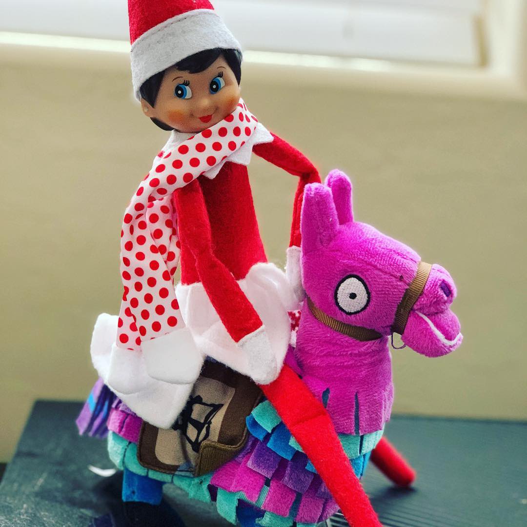 mitchellmalpart's tweet photo. Apparently our #elfontheshelf Lucy is a fan of @fortnite !  She found the #lootllama 🙀🌈🎁 
...
...
#llama #fortnite #familyfun #loot #holiday #holidaytraditions #xmas #christmas #elf #elfscout @elfontheshelf https://t.co/ty9bkjL8we