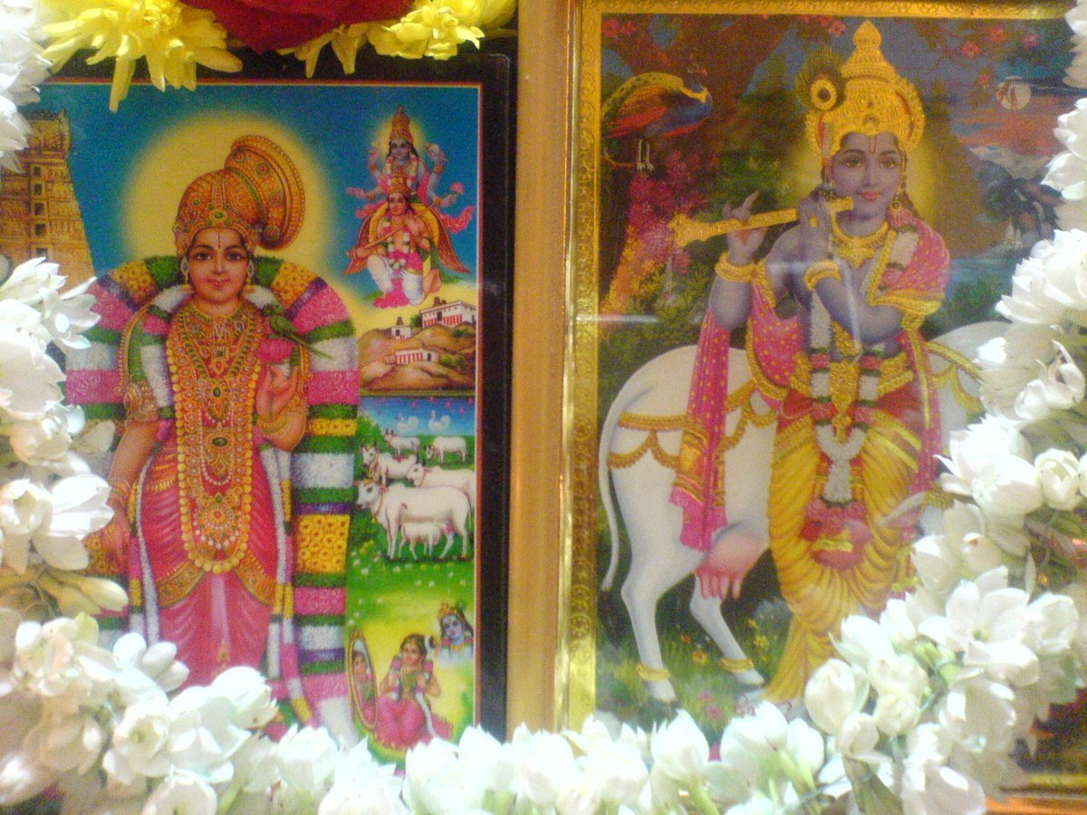 Seetha Subramaniam A Twitter Kalai Vanakkam G Mrg Raghunandarre