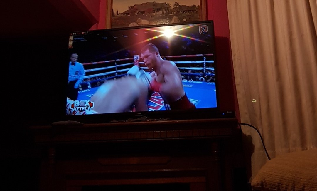 RiveraBrenda0's tweet photo. Epaaaaaa, actuación sobresaliente de canelo 😍 #CaneLike https://t.co/8pgCVnNJ6V
