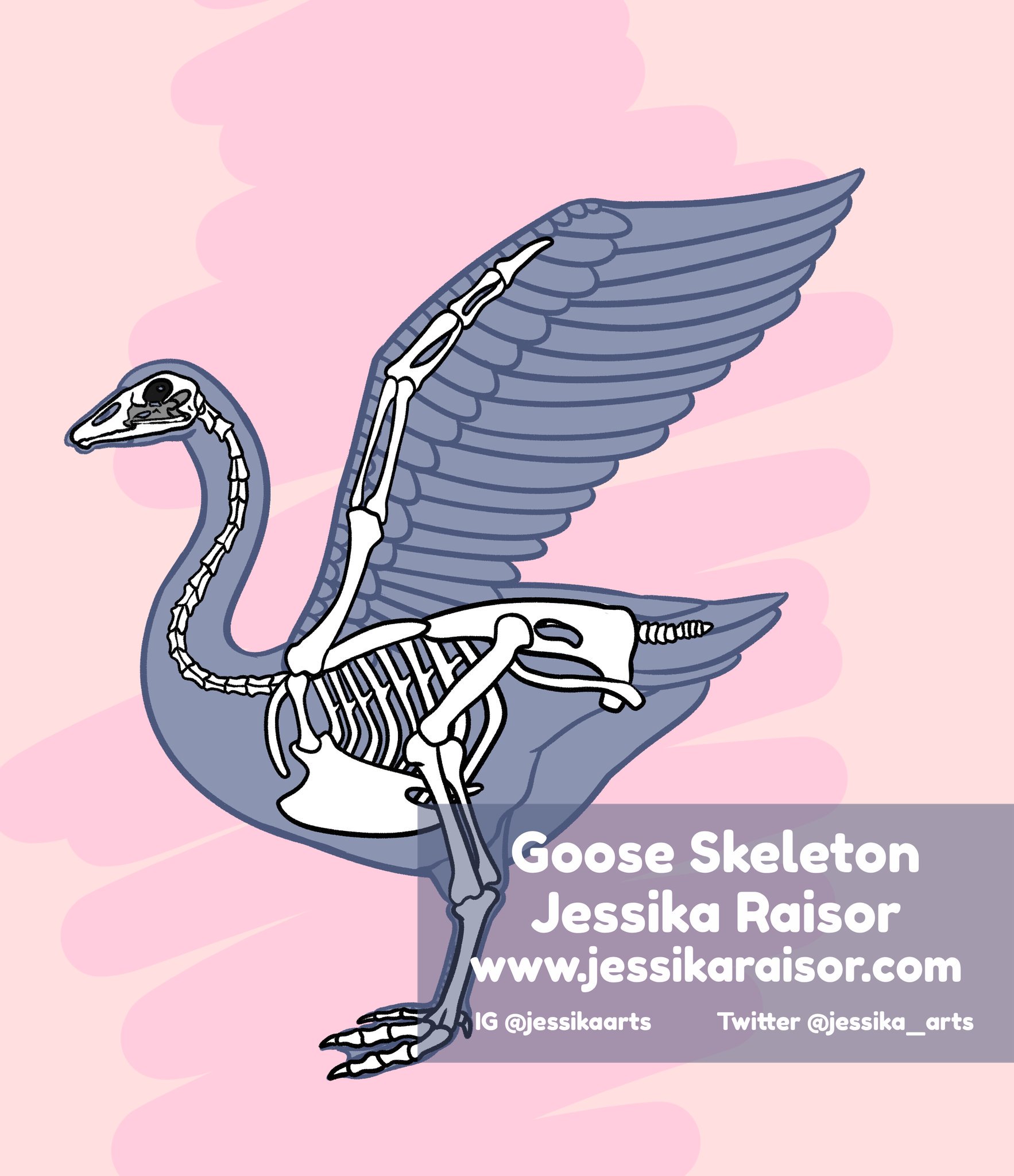 Jessika Raisor on Twitter: 