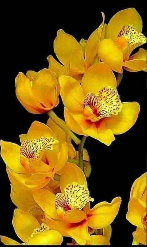 rajkbakshi's tweet photo. https://t.co/FUlLQooMkh