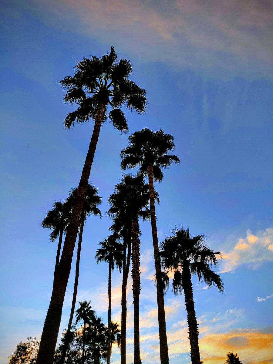 gzusone's tweet image. #Jeah