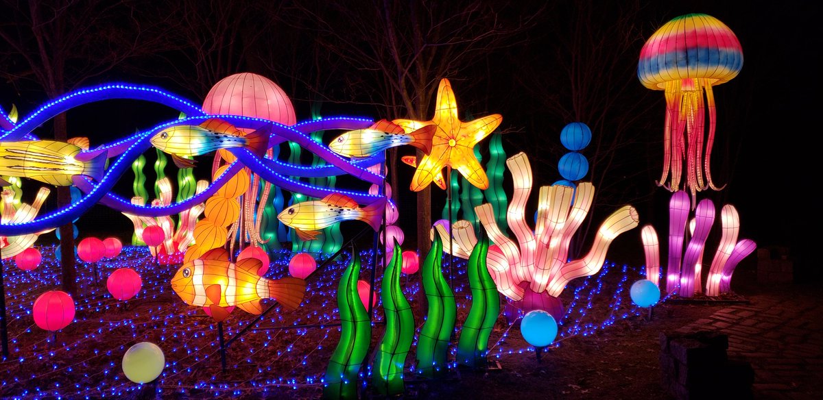 TechCatslady's tweet photo. #Winterlanternfestival #winterlantern #LEDlanterns #Lanterns #snugsharbor #nyc #StatenIsland #StatenIslandEvents #NYCWinterLanternFestival https://t.co/RK2IN016ow